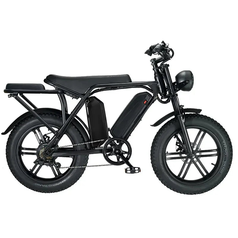 Wholesale 20 Inch Electric City Bike 2 Seat E-bicycle 750w 1000w 48v 15ah Lithium Battery Fat Tire E-bike Electric Bicycle