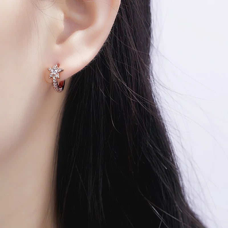 925 Silver earrings star