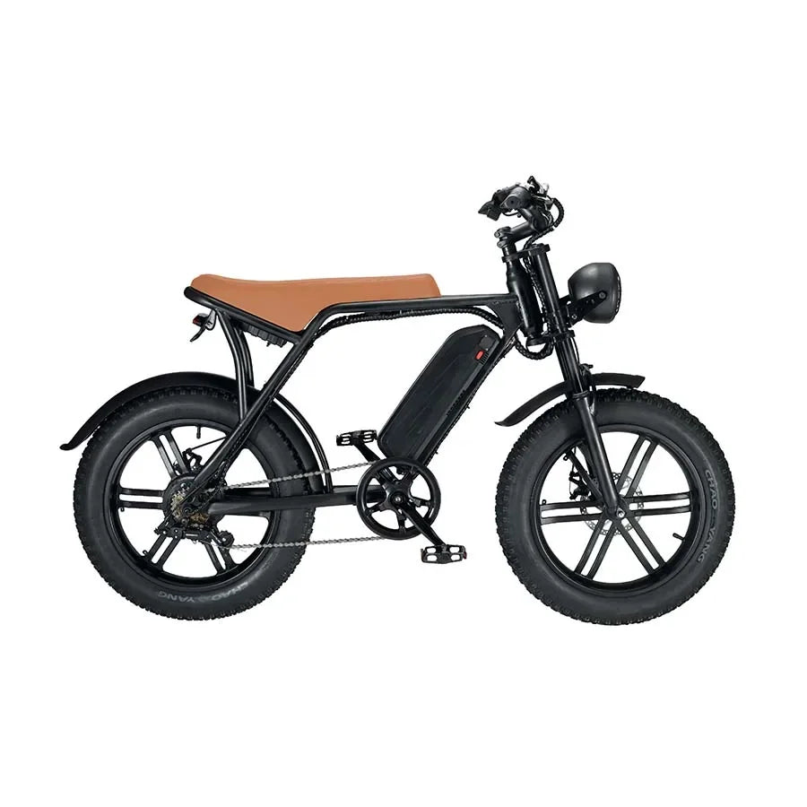 Wholesale 20 Inch Electric City Bike 2 Seat E-bicycle 750w 1000w 48v 15ah Lithium Battery Fat Tire E-bike Electric Bicycle