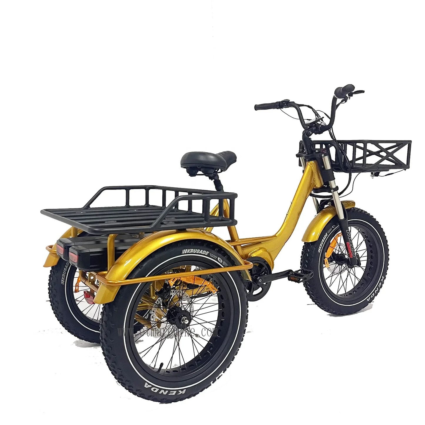 48v 1000w 20*4.0 Fat Tire Mid Drive Camping Electric Cargo Bike 3 Wheel Electric Bike E Bike