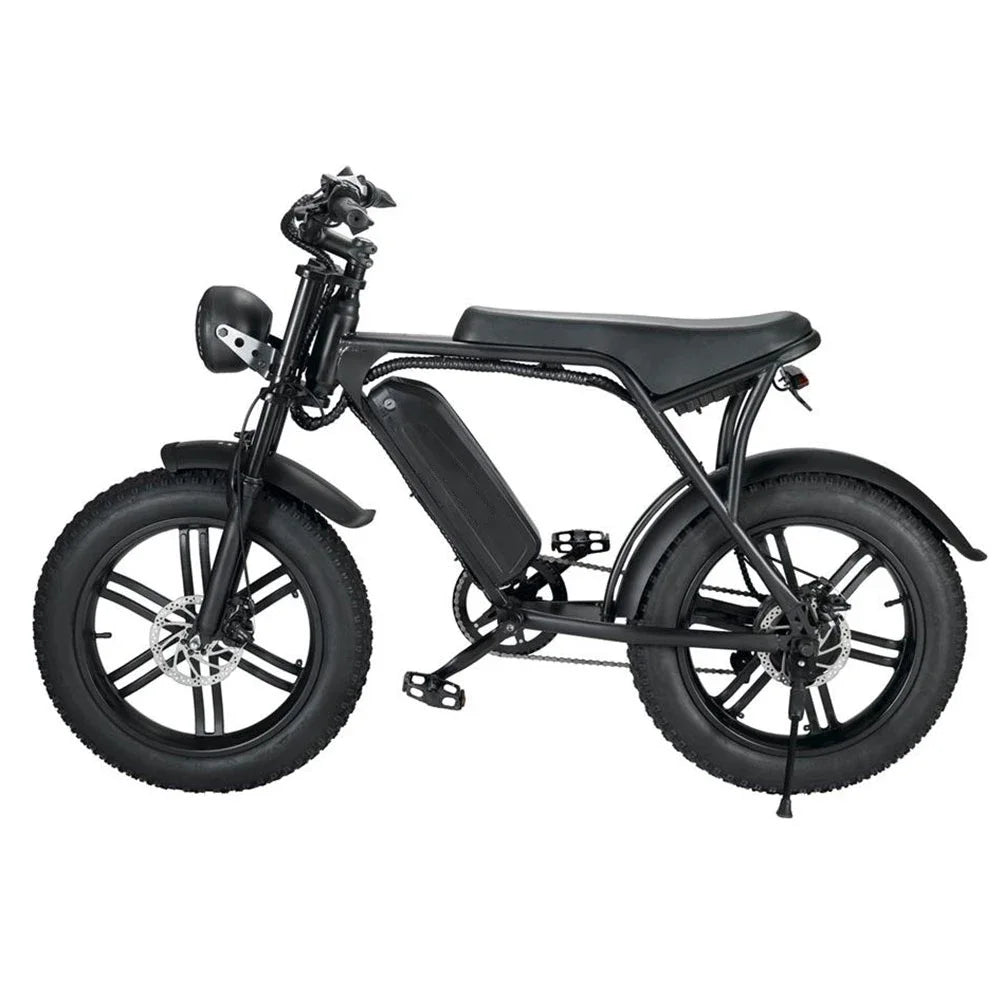 Wholesale 20 Inch Electric City Bike 2 Seat E-bicycle 750w 1000w 48v 15ah Lithium Battery Fat Tire E-bike Electric Bicycle